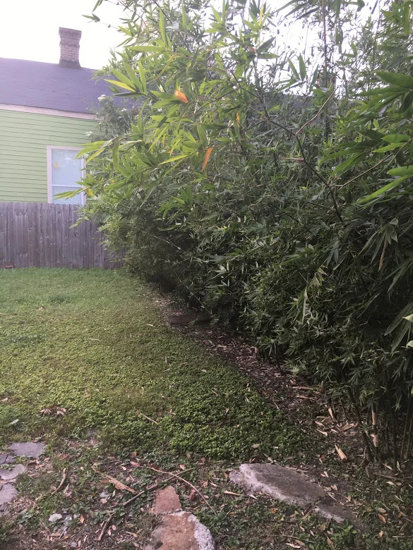 ninth ward nursery - install on annette st., new orleans2.jpg