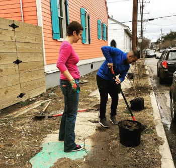 ninth ward nursery and treeme in the treme.png