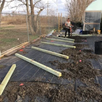 ninth ward nursery new greenhouse 1.jpg