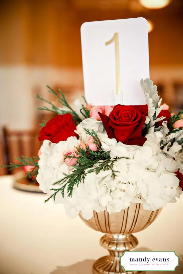 Wooten_Yogore_mandyevansphotography_jm419_0_low.jpg