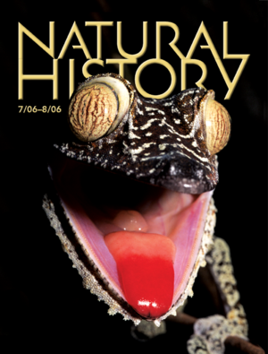 JULY_AUG_COVER.png