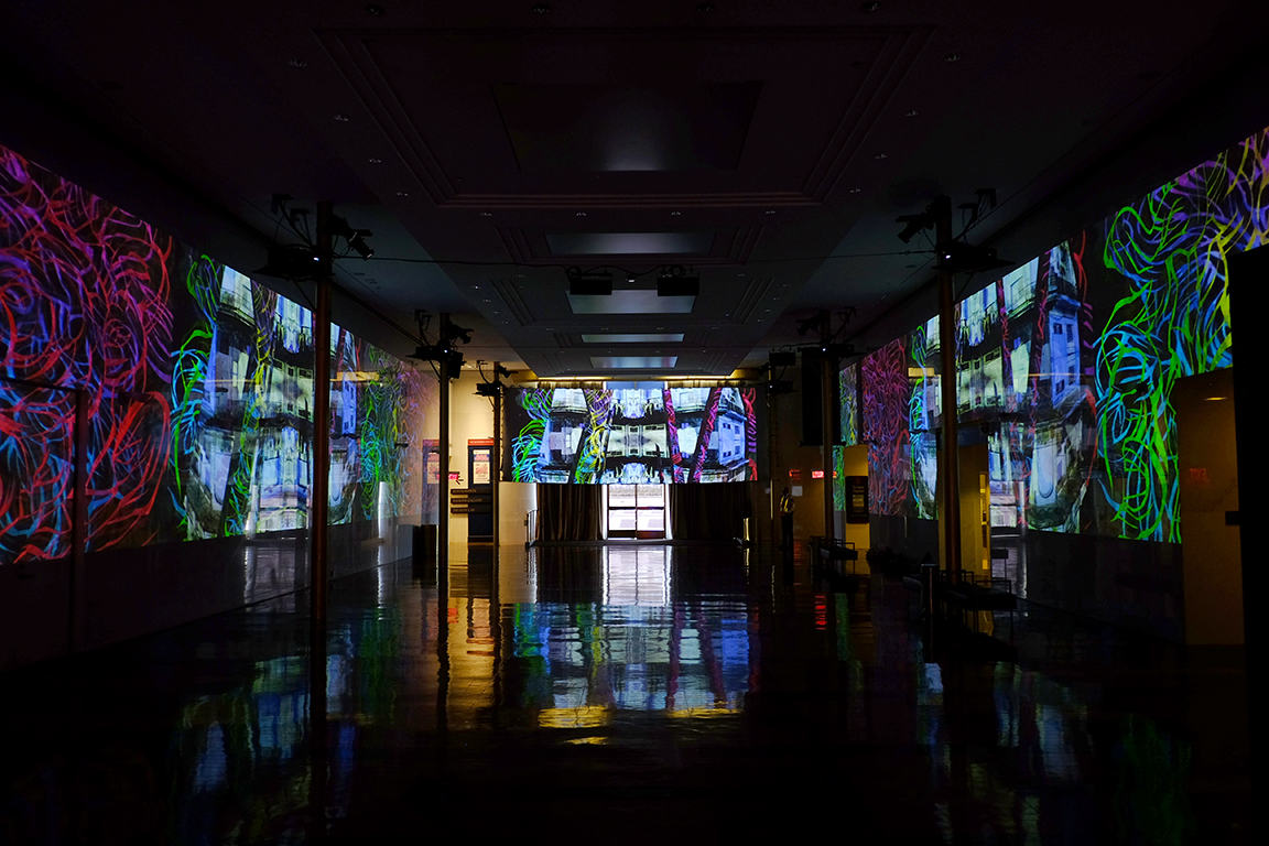   Sombras Silvestres , 2018  Site-specific video installation  The Kennedy Center, Washington DC 