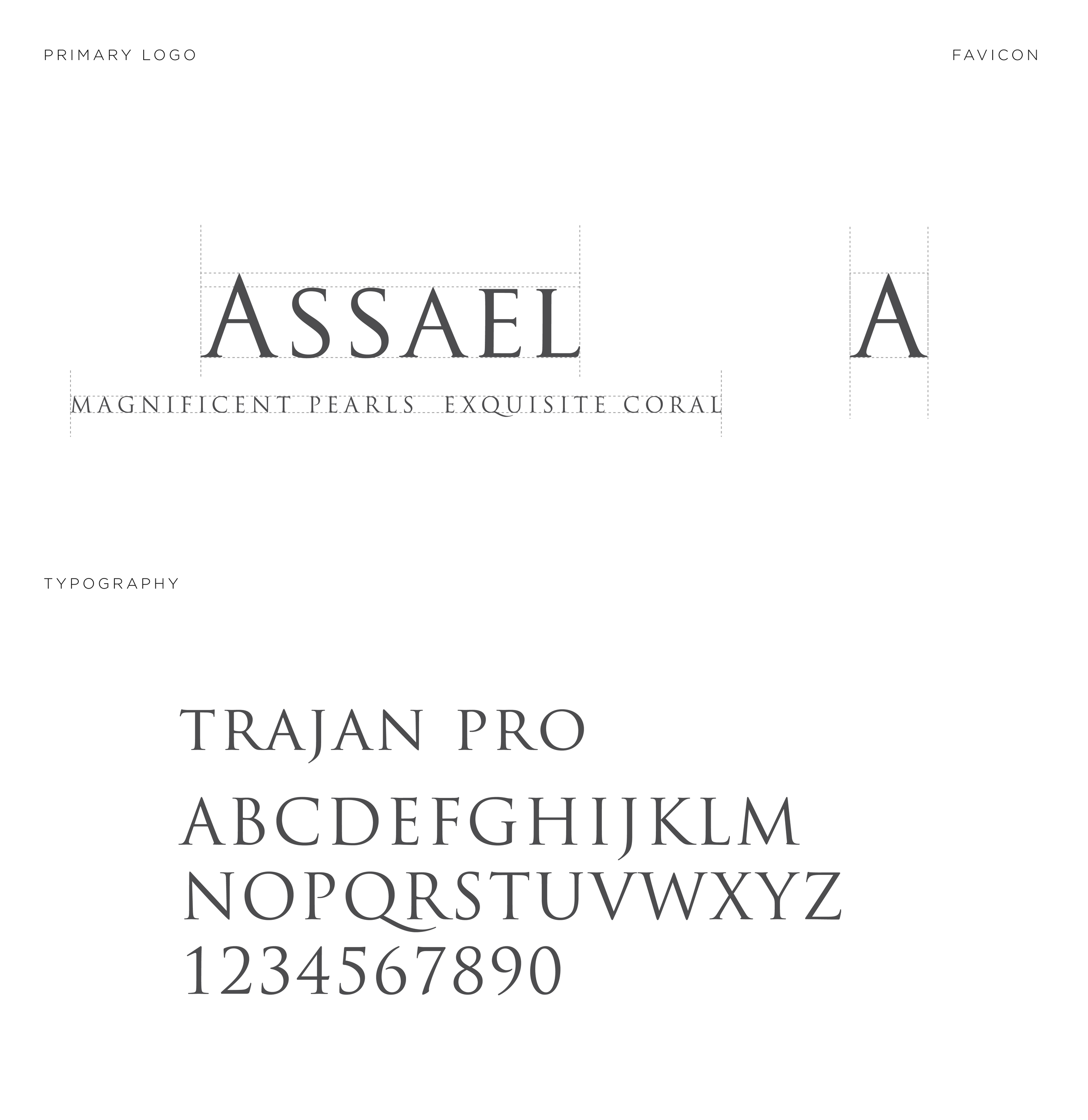Assael_Branding_Typography.png
