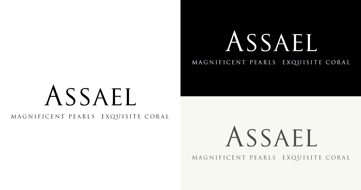 Assael_Branding.png