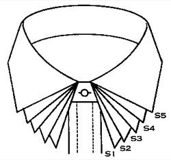 Ripley_Collar_Spreads2.gif