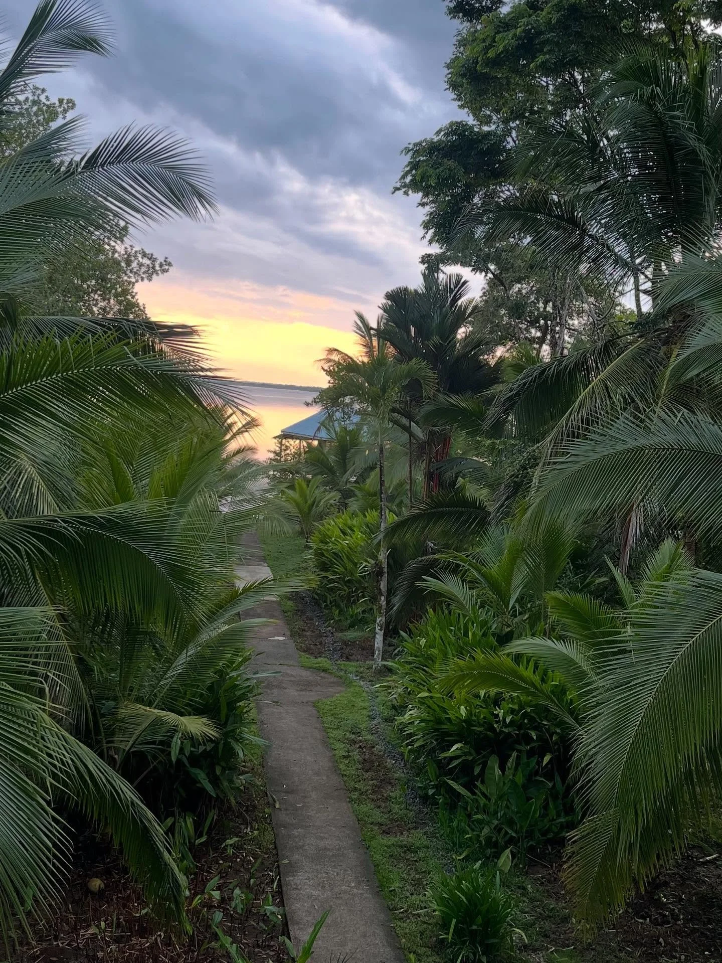 Good morning Dolphin Bay 🌞

#sunrise
#bocasdeltoro
#thunder 
#panama