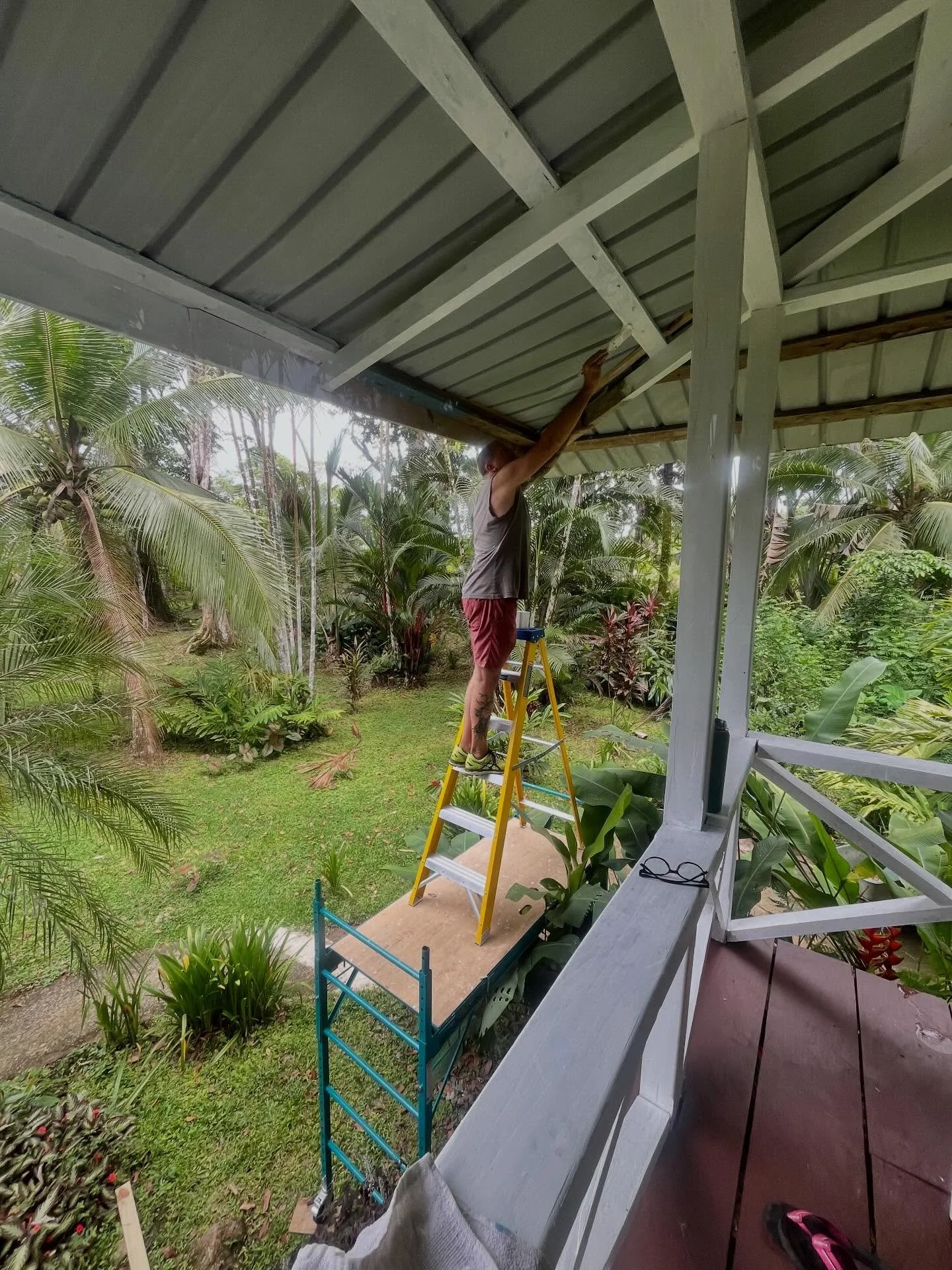 Feeling thankful for a partner that will go out on a limb for painting.