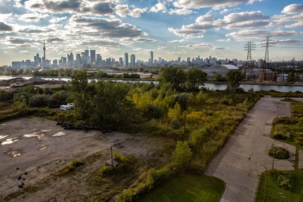 TORONTO SKYLINE, LOOK UP (2014) © 2014 Grant Stirton . All Rights Reserved.