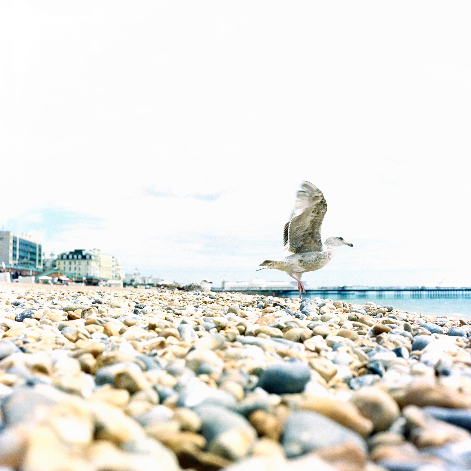 Image 1  4 5.jpg