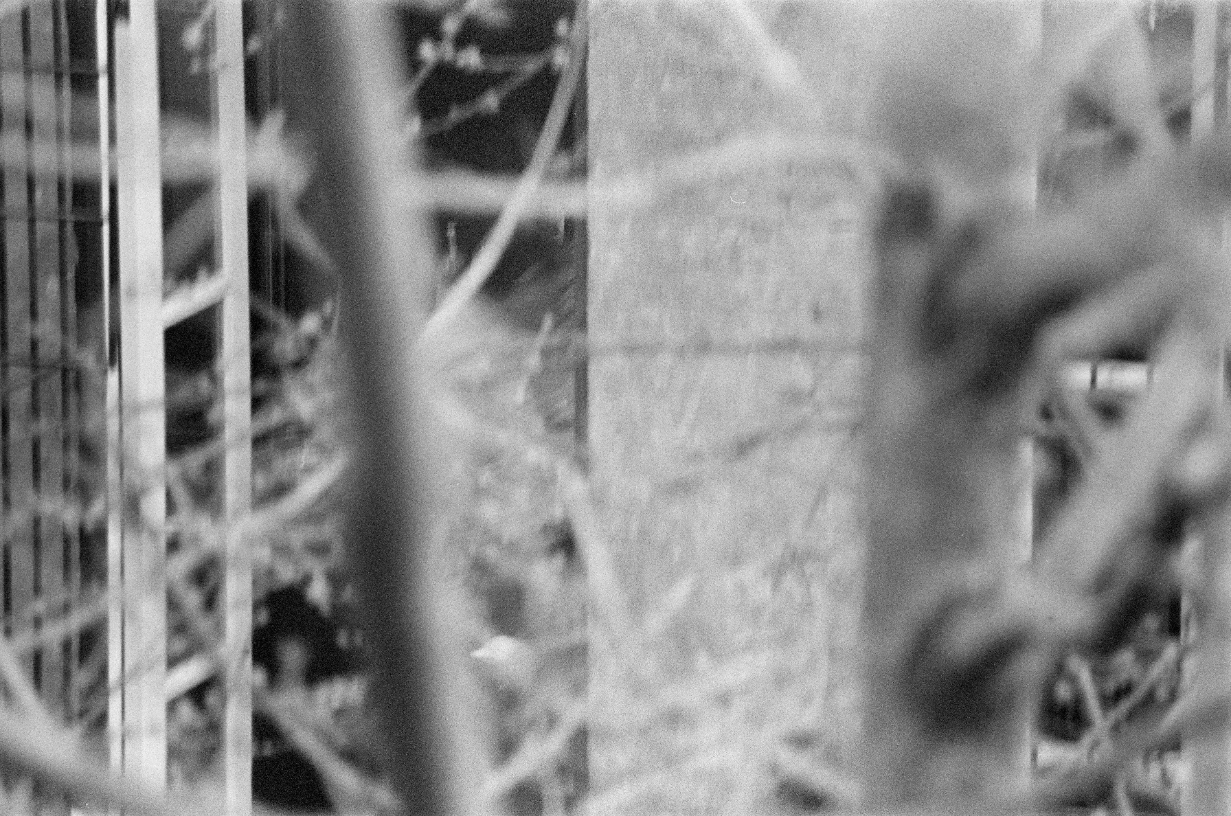 interference