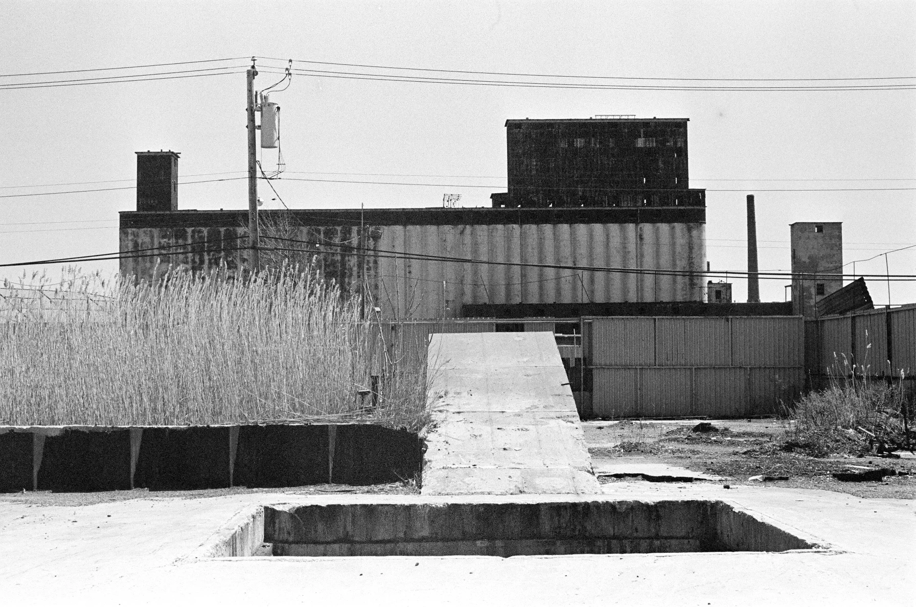 the pit