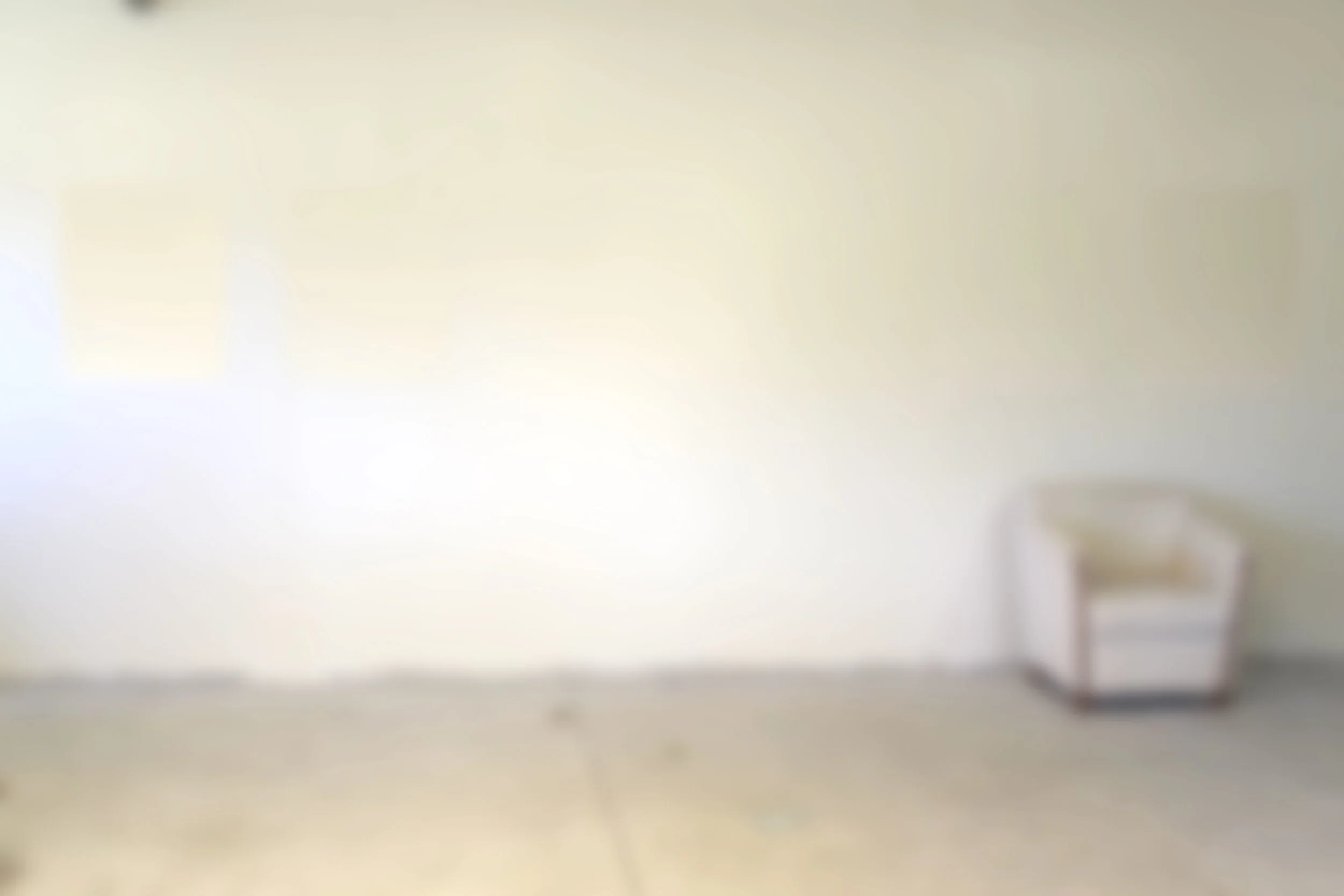 BLANK.STORE.BACK.jpg