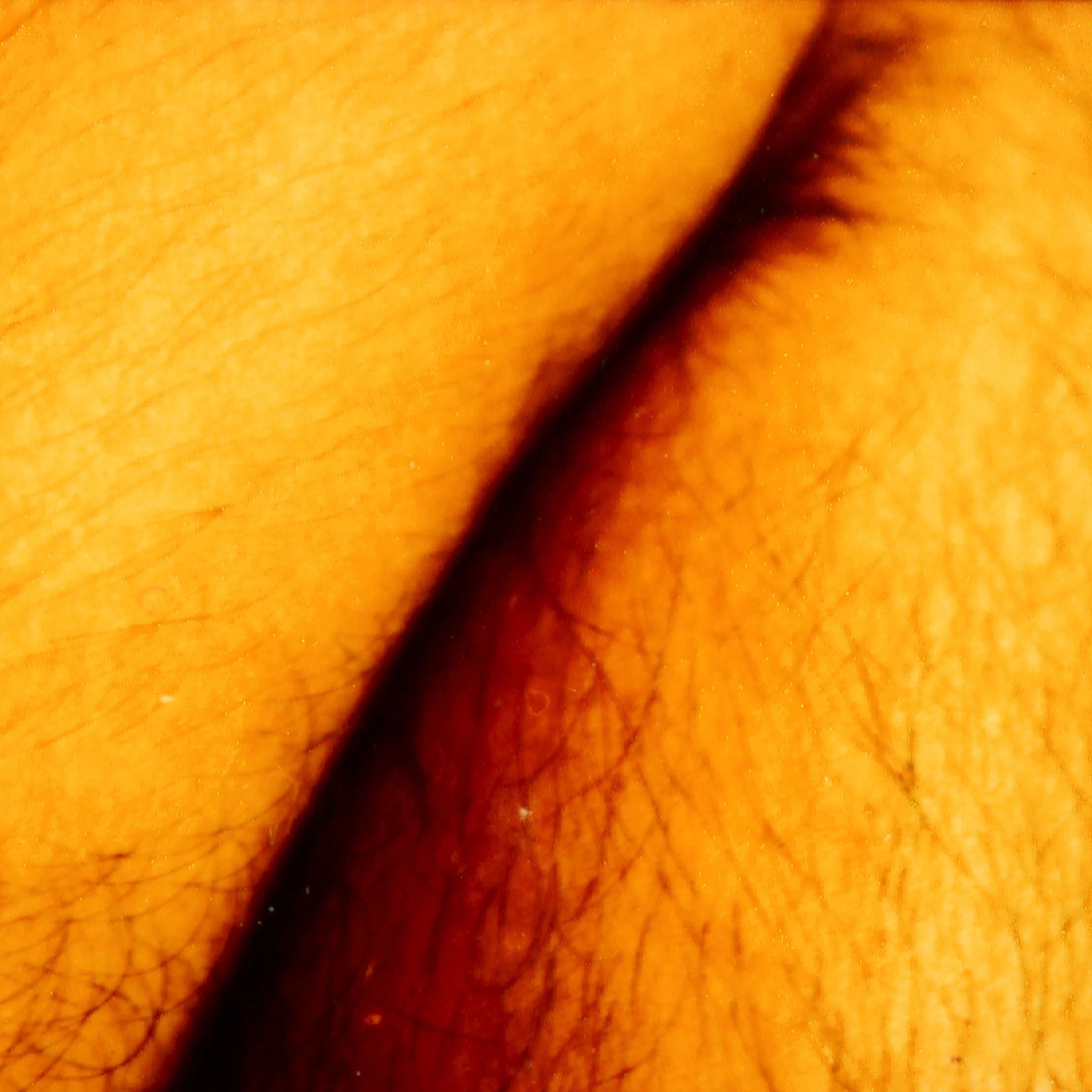 m6.jpg