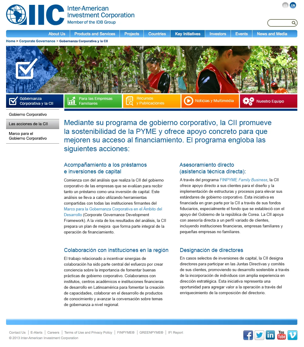 2_IIC_CORPORATE-GOVERNANCE_Section1_Acciones_v2.jpg