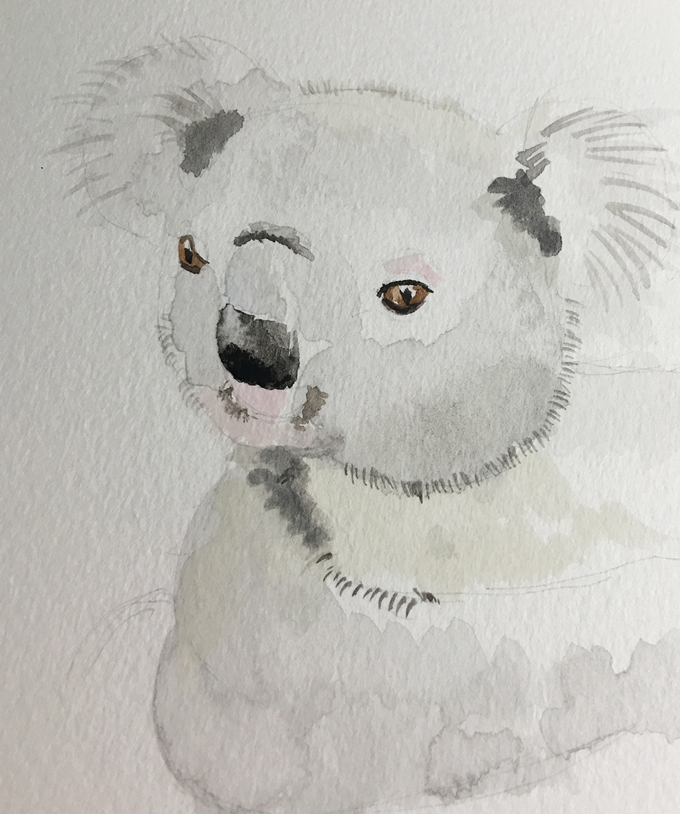 Watercolor - Koala