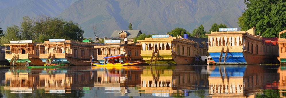 Some of the fancy house-boats we didn't rent.