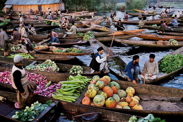 A shot of shikaras on Dal Lake. (by Steve McCurry)