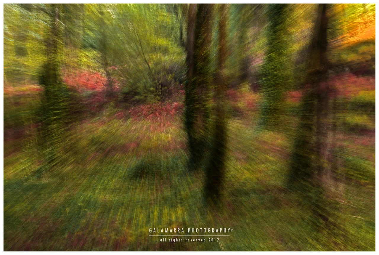 Dynamic Pan Abstraction