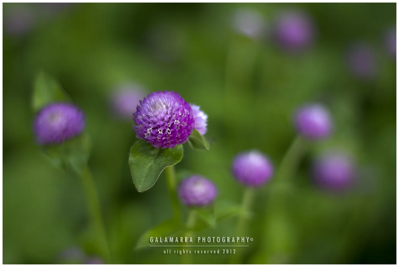 F02 - Be kind and hold the hand