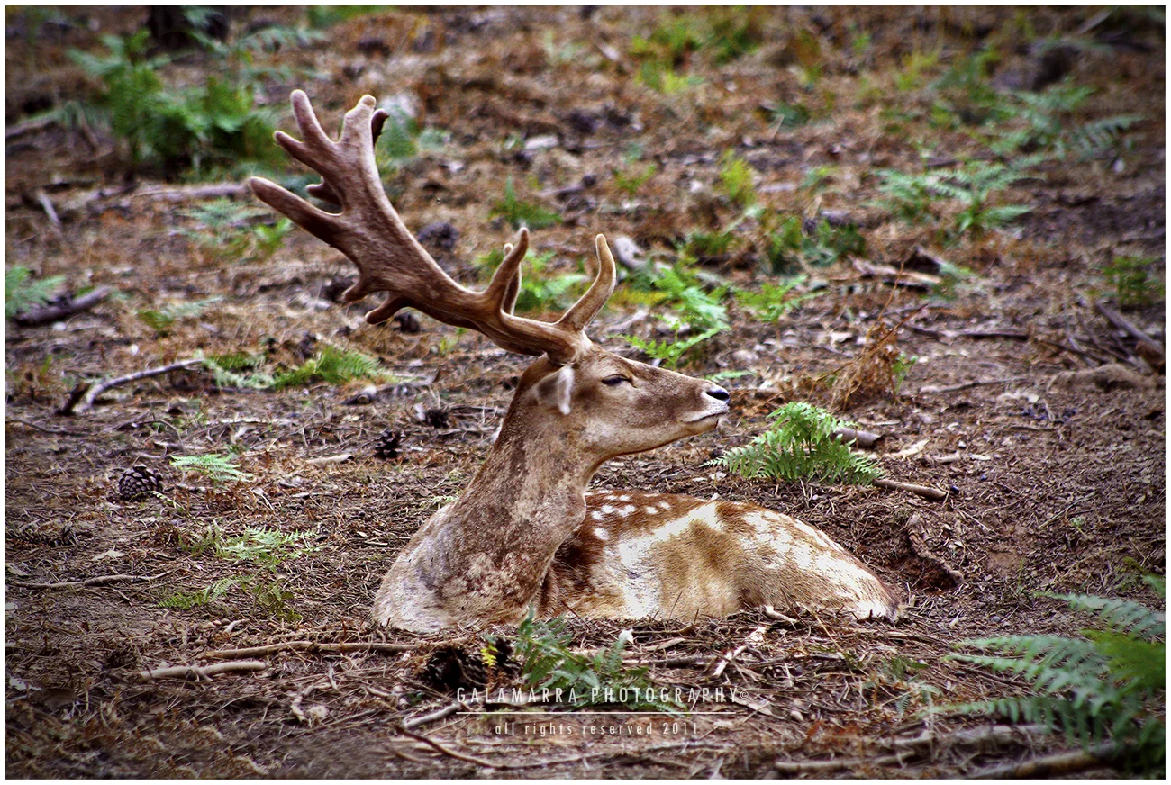 Tranquility_on_the_mountain__Frame_print.jpg