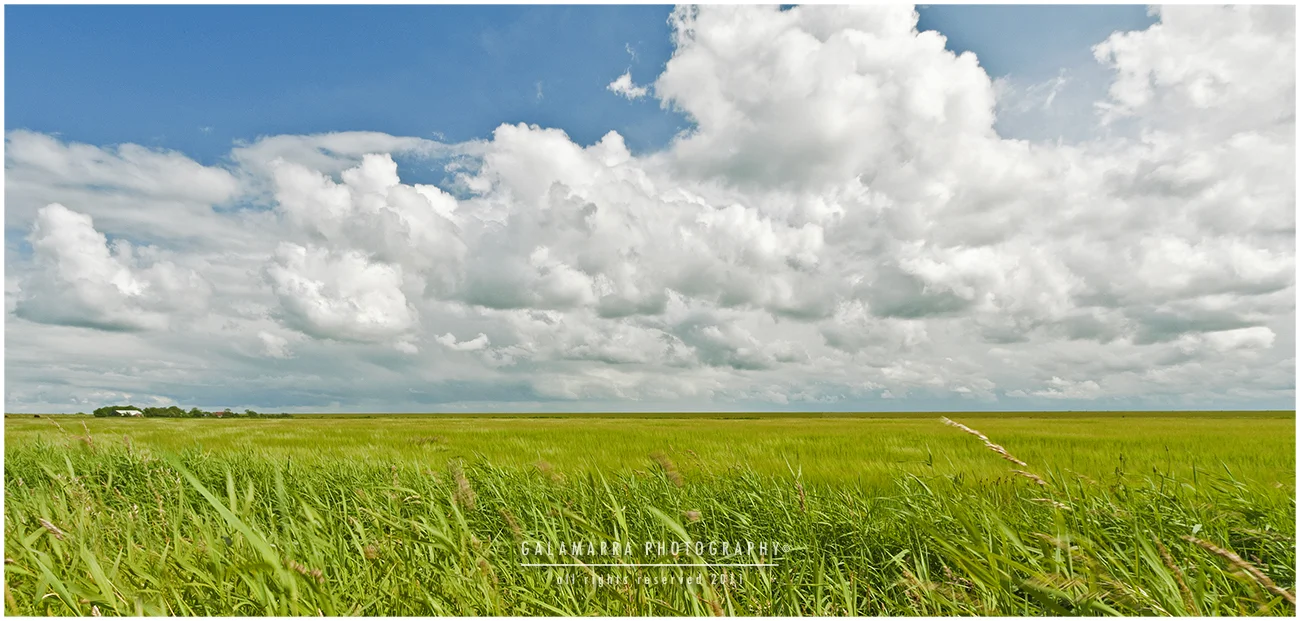 TExel_MG_4985-2.jpg