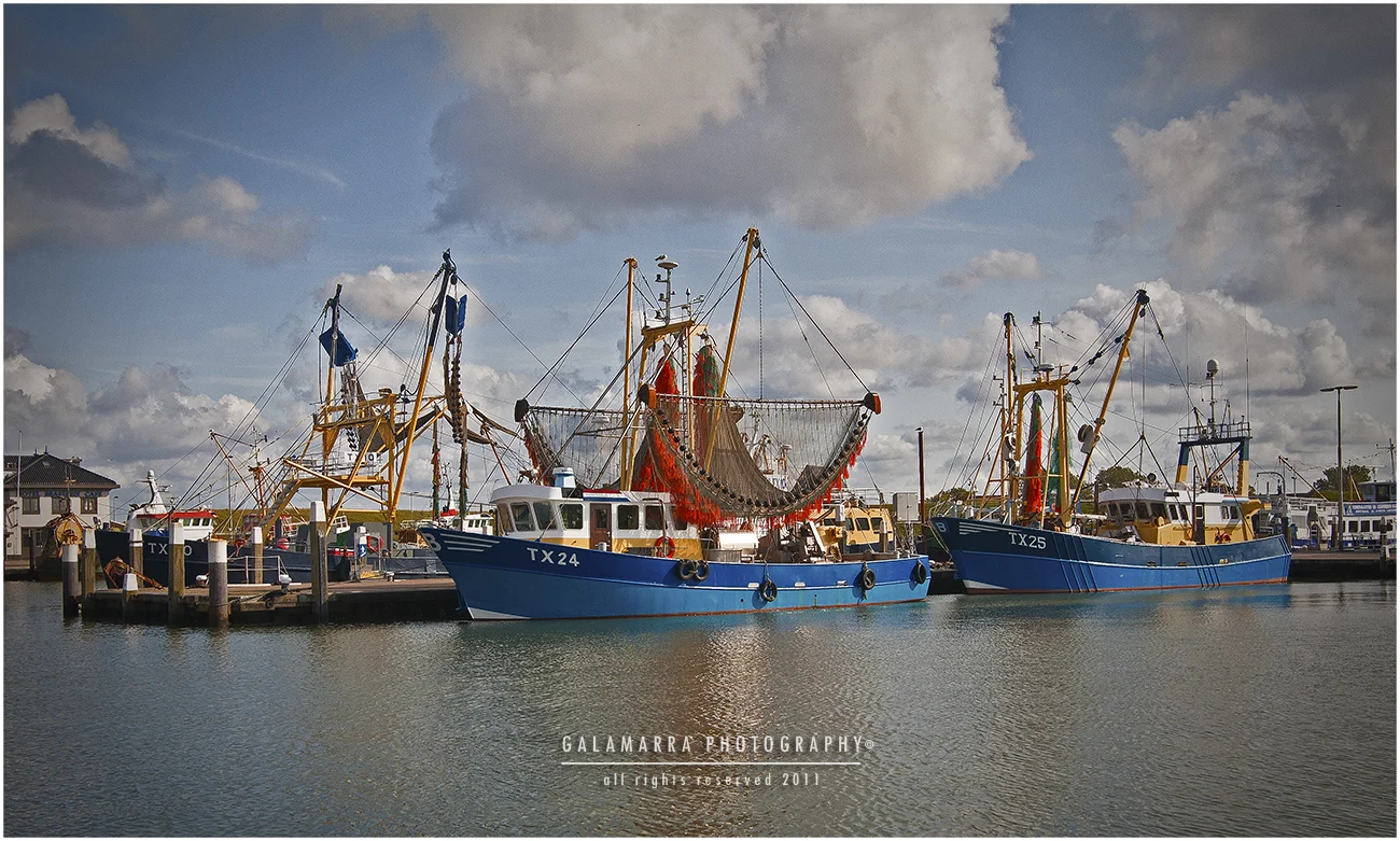 Texel_Harbour_MG_5011.jpg