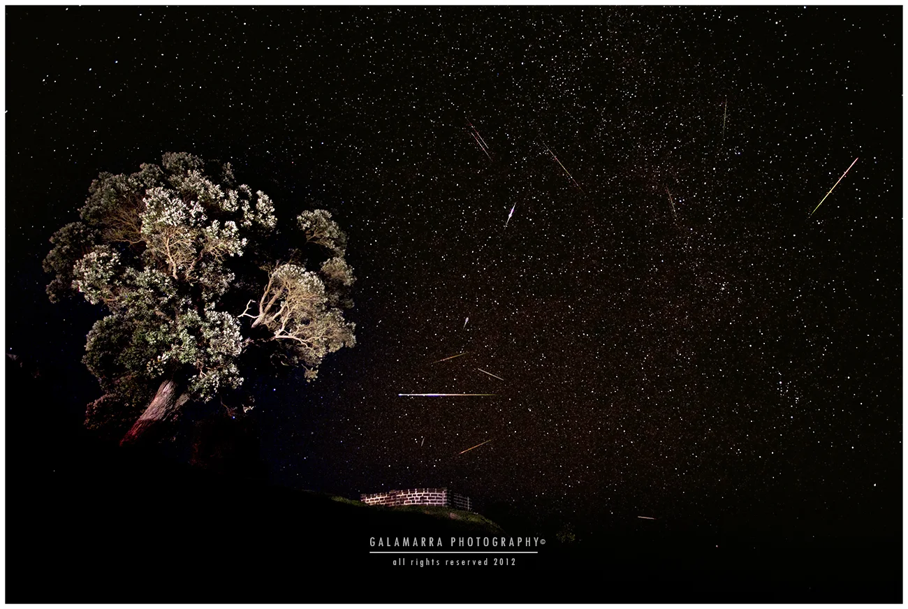 Perseids Meteor Shower