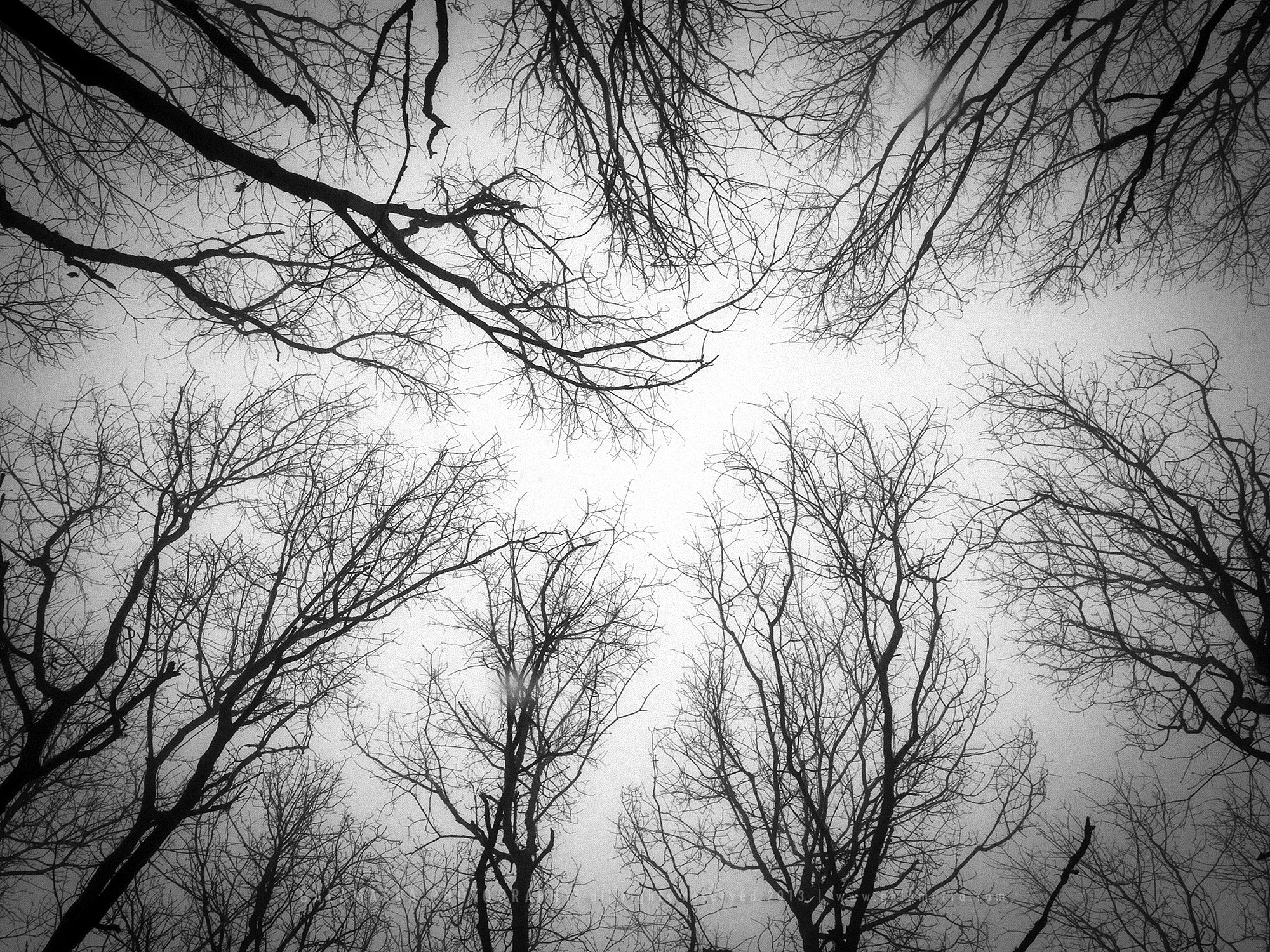 _MG_4227.jpg