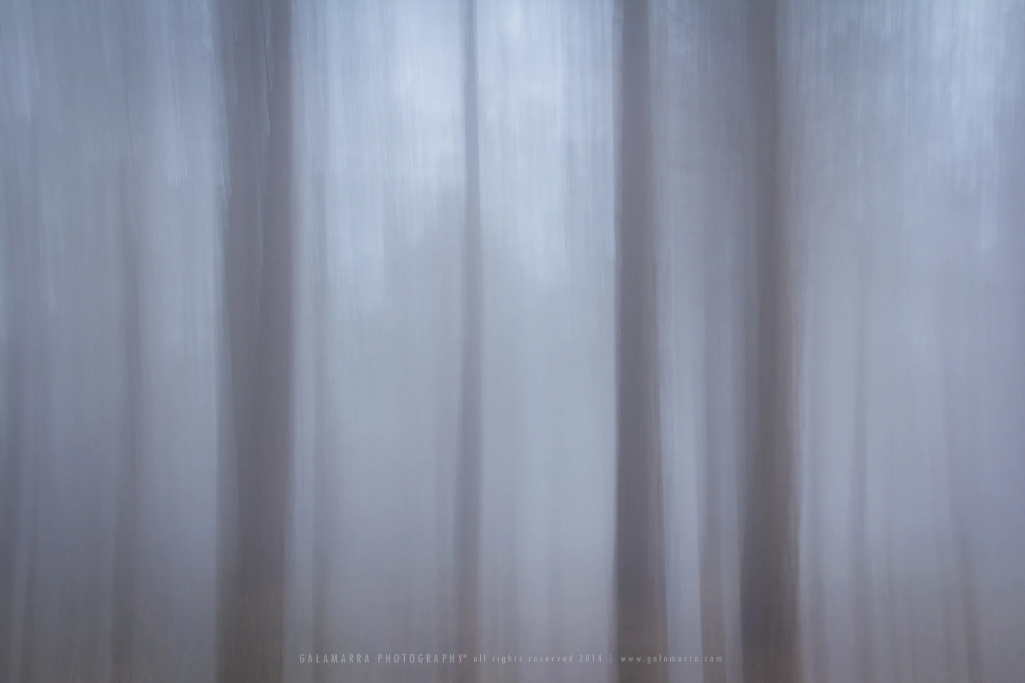 Lousã II: the fog