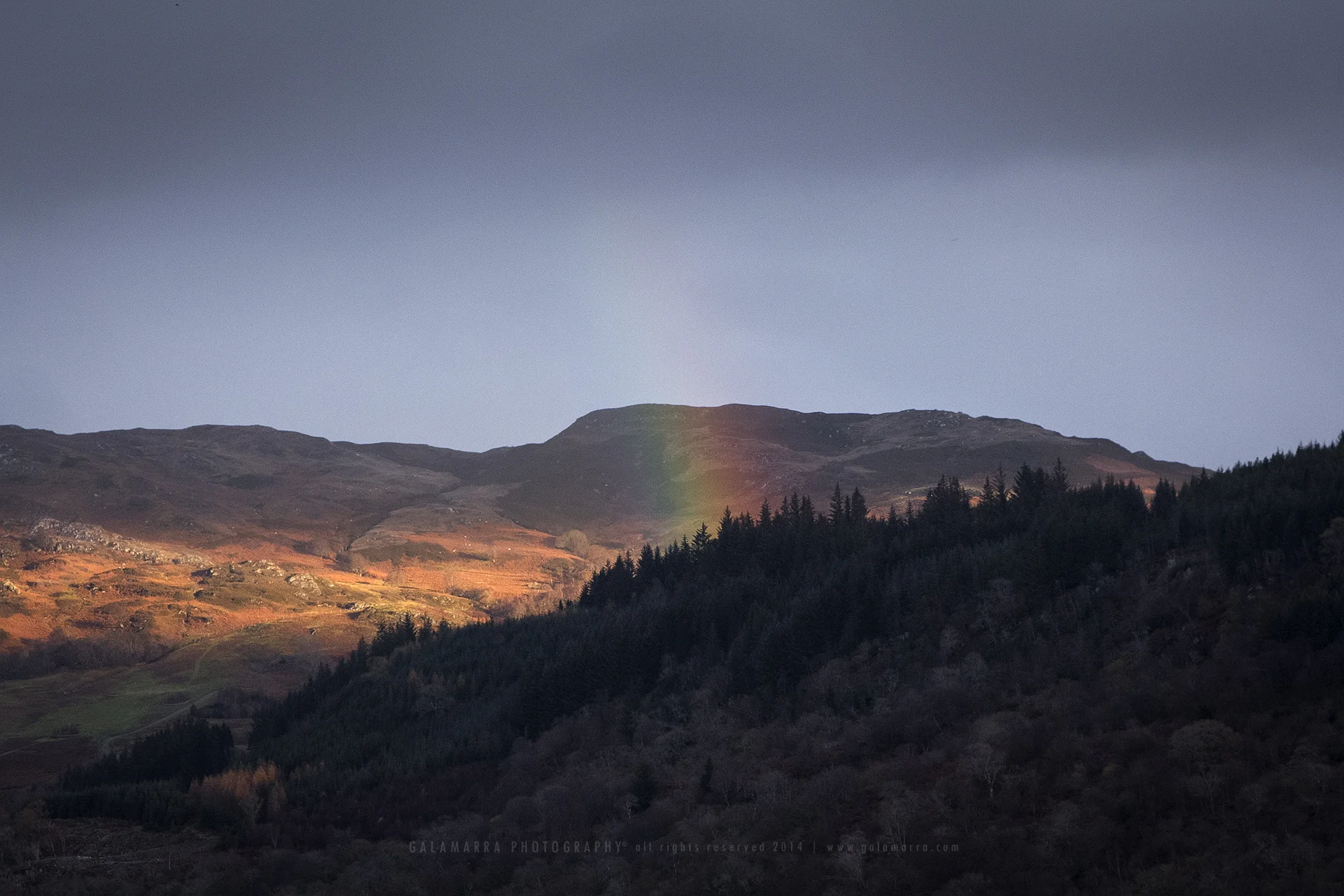 Nessie's Rainbow