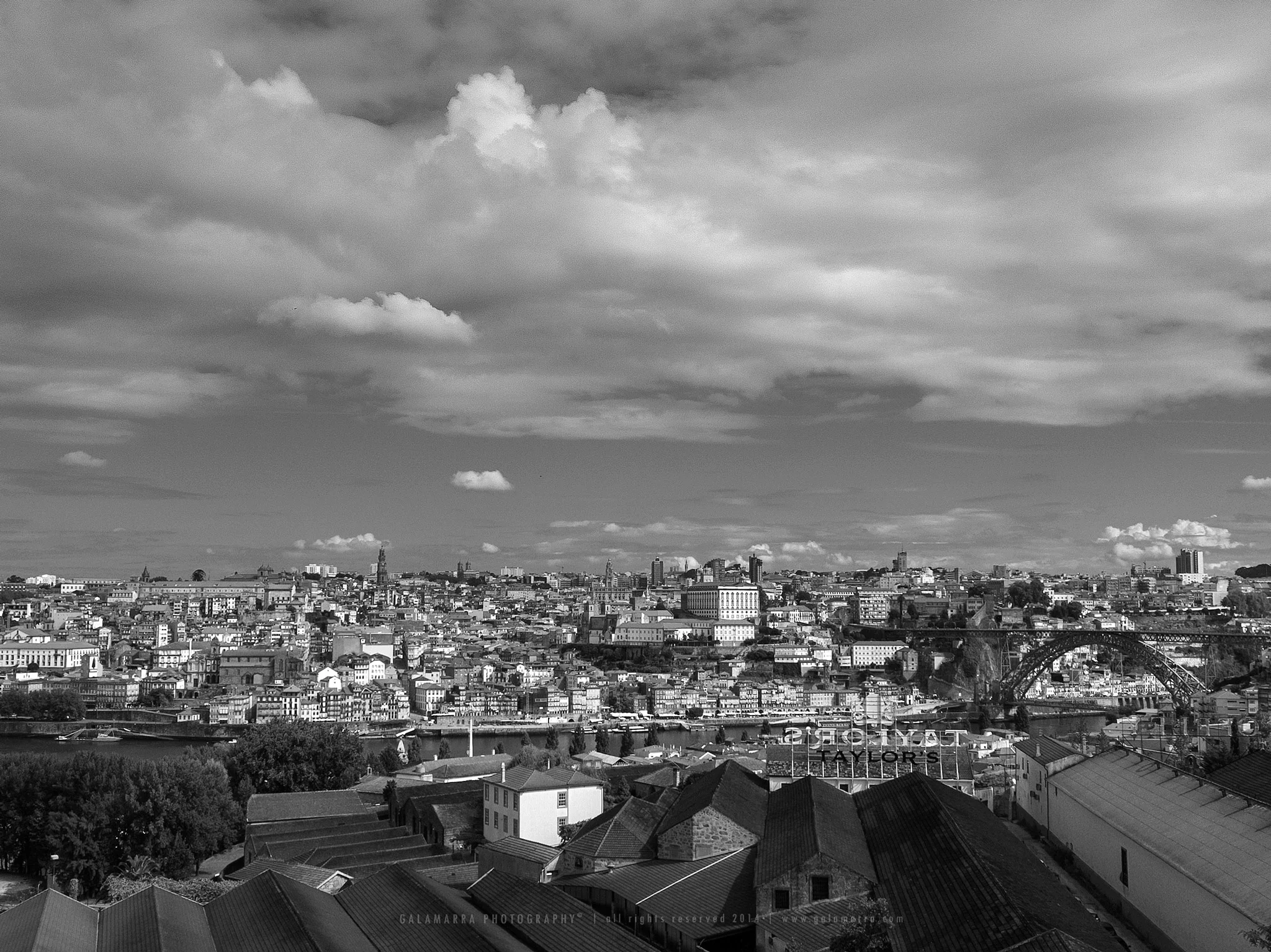 web_MG_0155.jpg