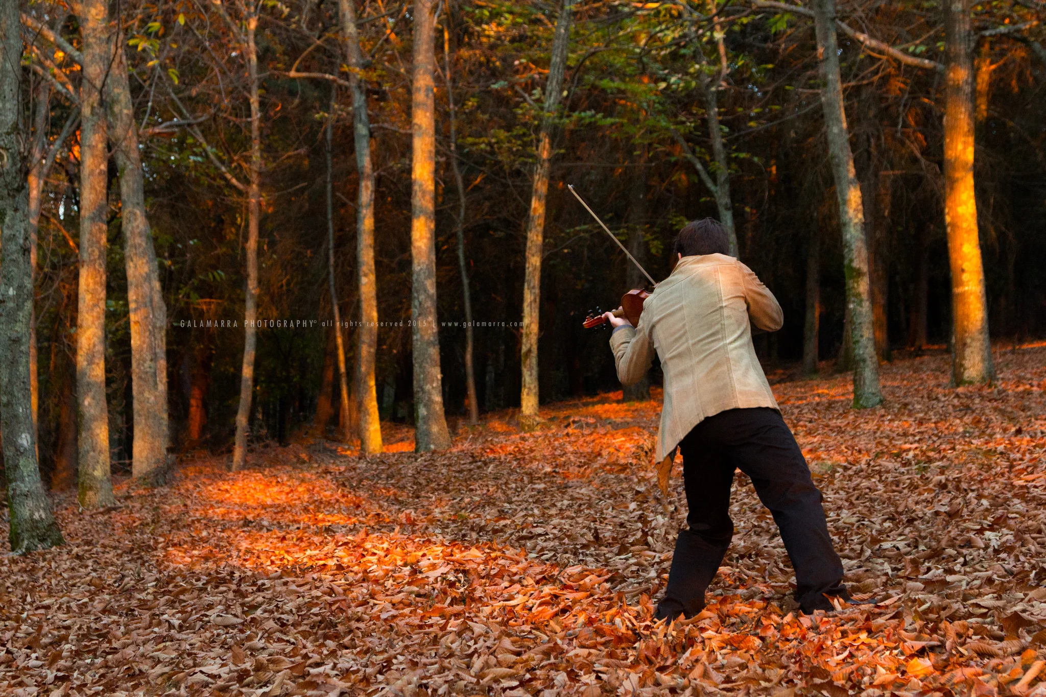 Ricardo Alberto: Autumn Session - I