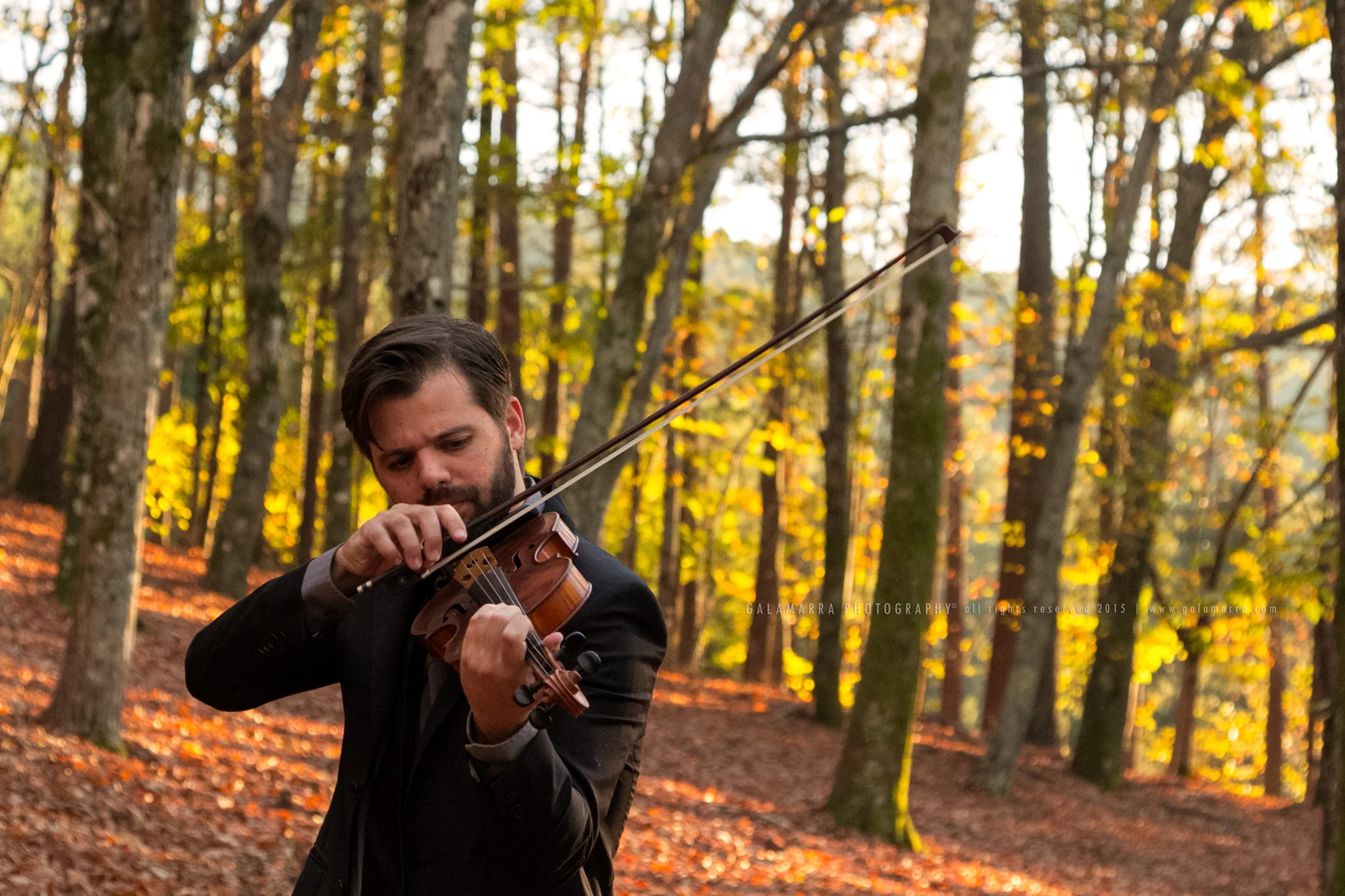 Ricardo Alberto: Autumn Session - VI