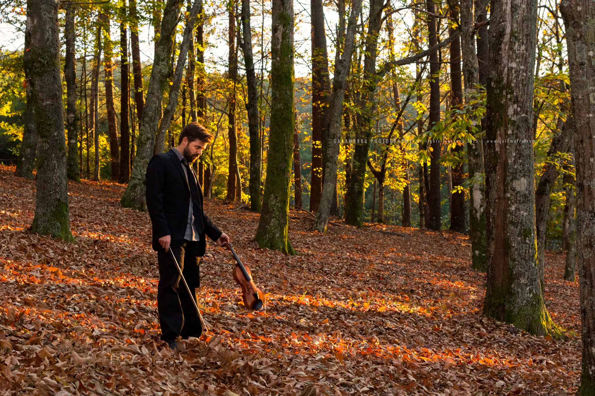 Ricardo Alberto: Autumn Session - V