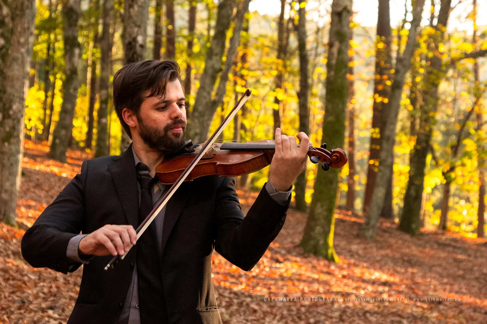 Ricardo Alberto: Autumn Session - VII