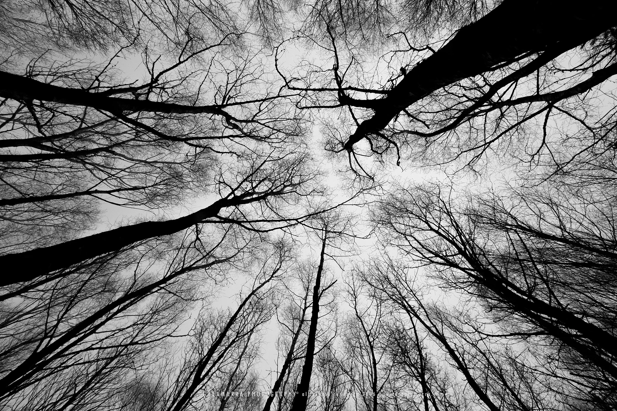 Take me somewhere nice