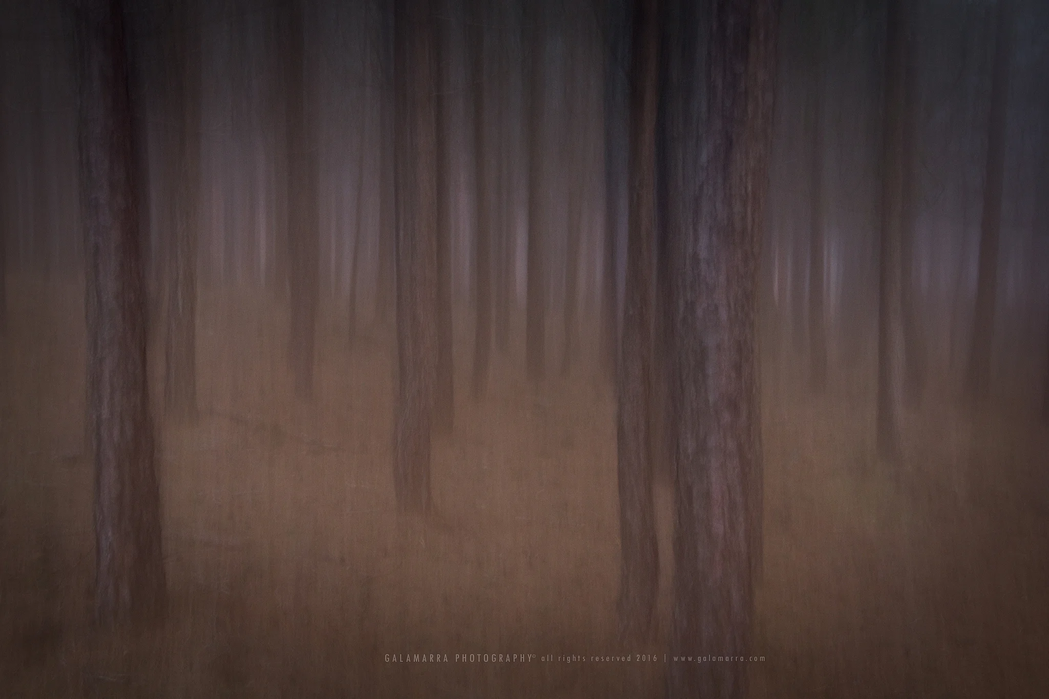 Take a look and see II