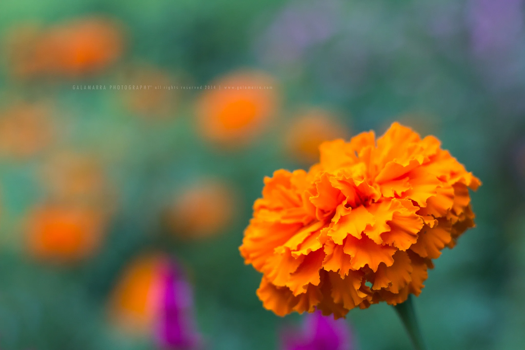 Dawn is coming, open your eyes and see