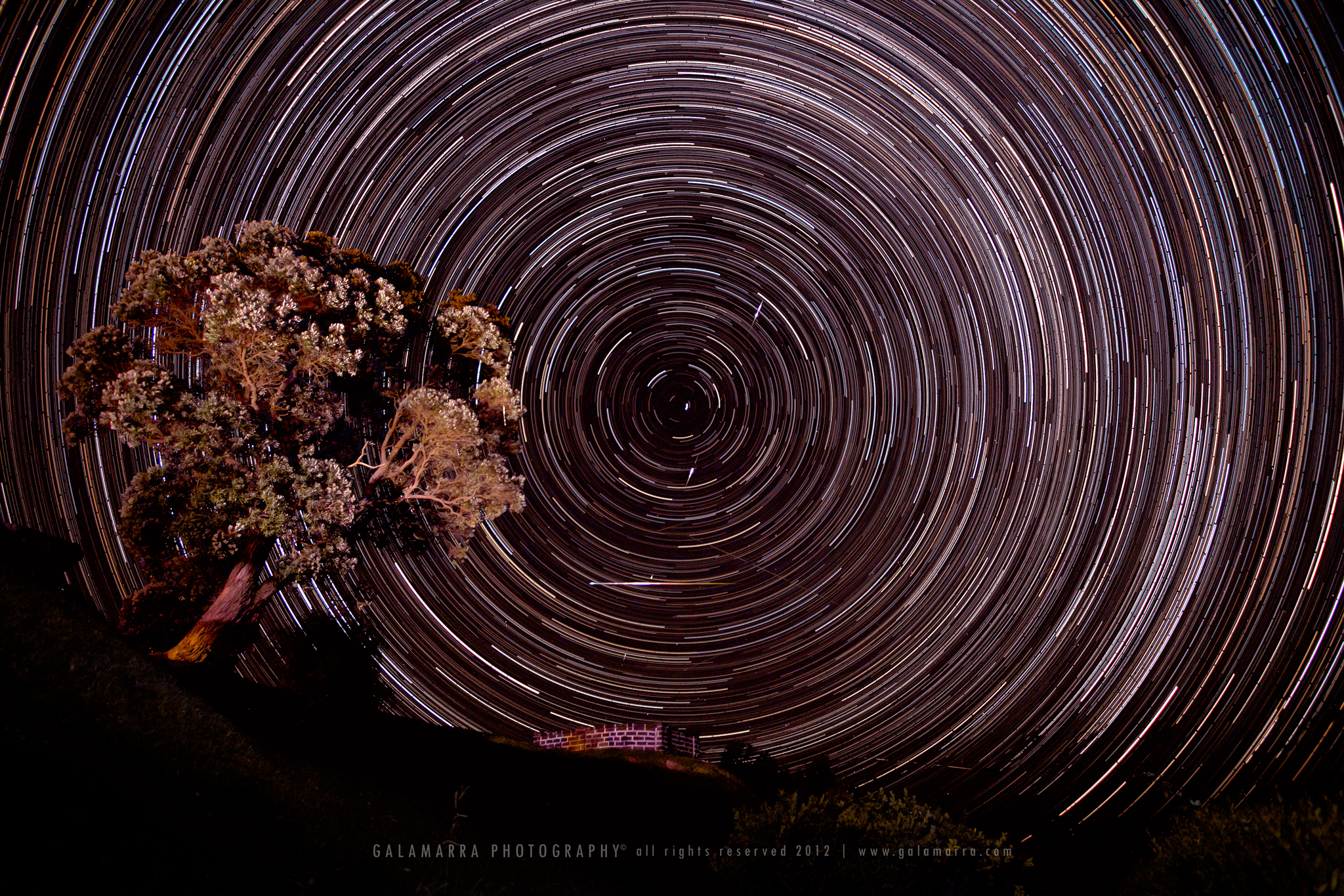 Night of Perseids Meteor Shower