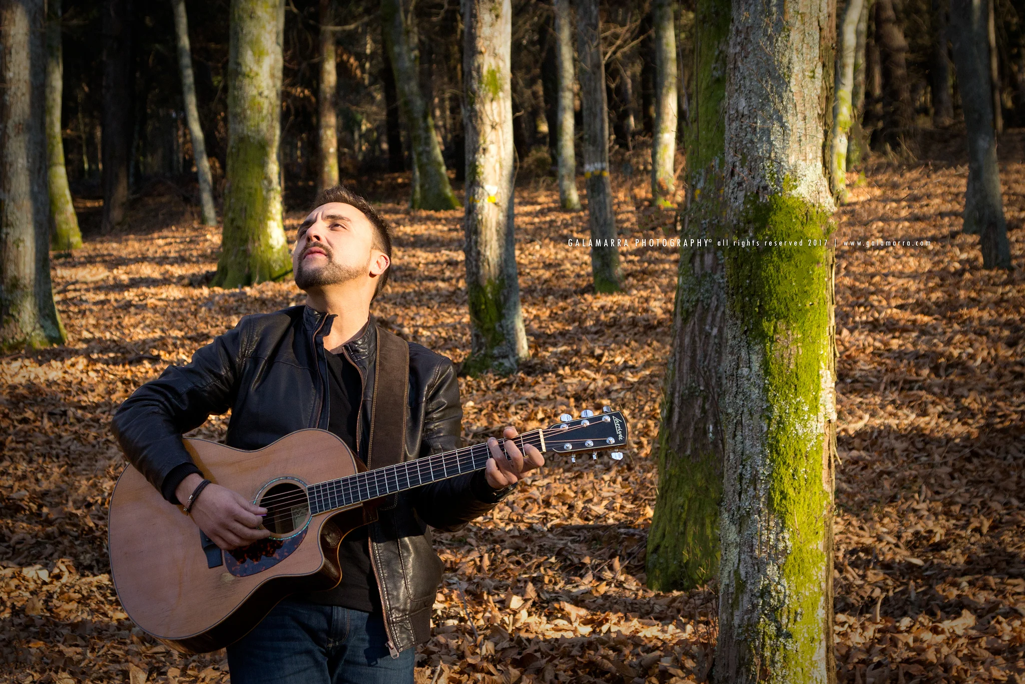 O som tudo cura - XIII