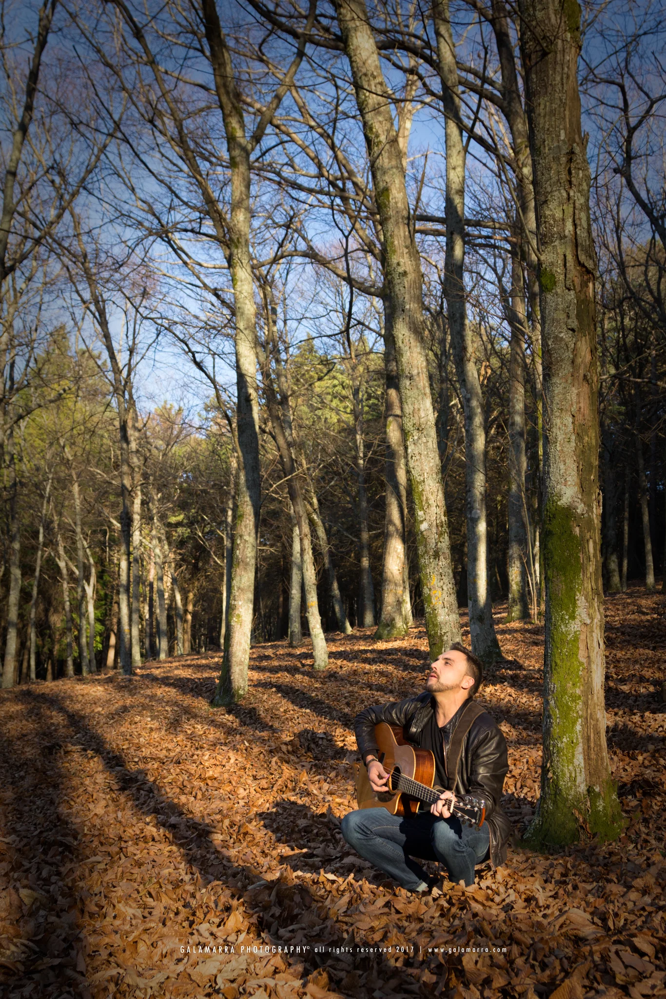 O som tudo cura - XIV