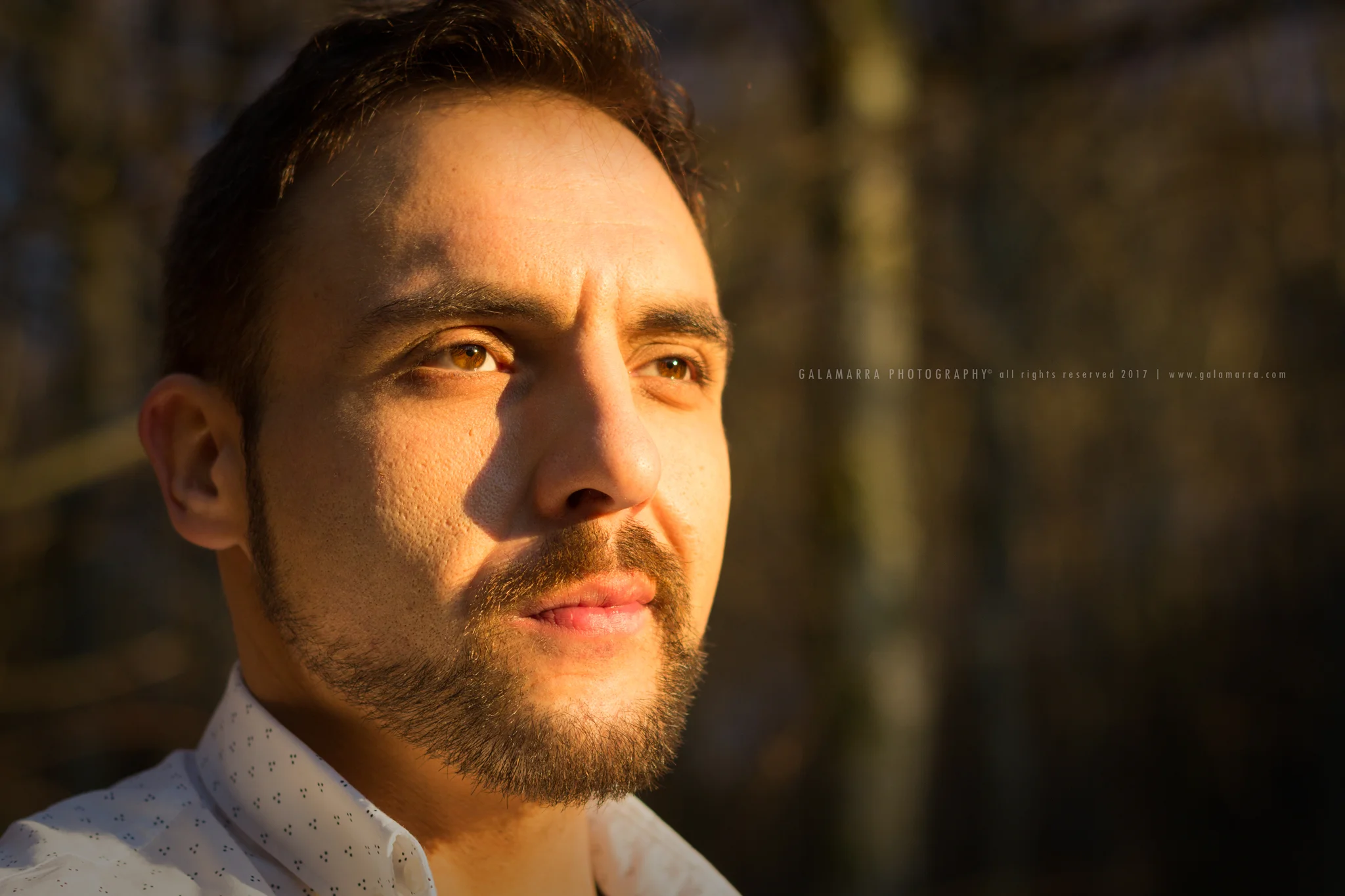 O som tudo cura - XI