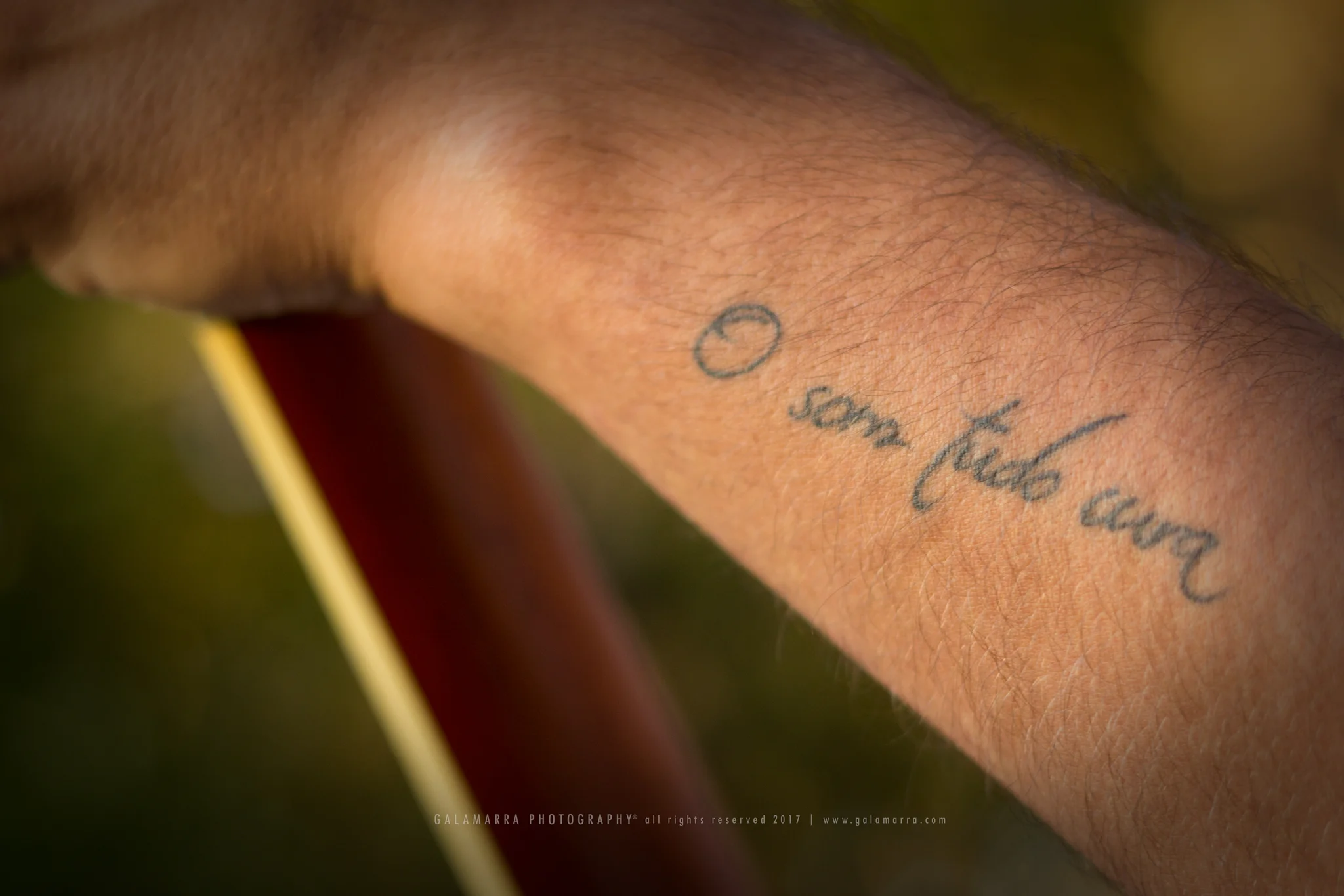 O som tudo cura - XV