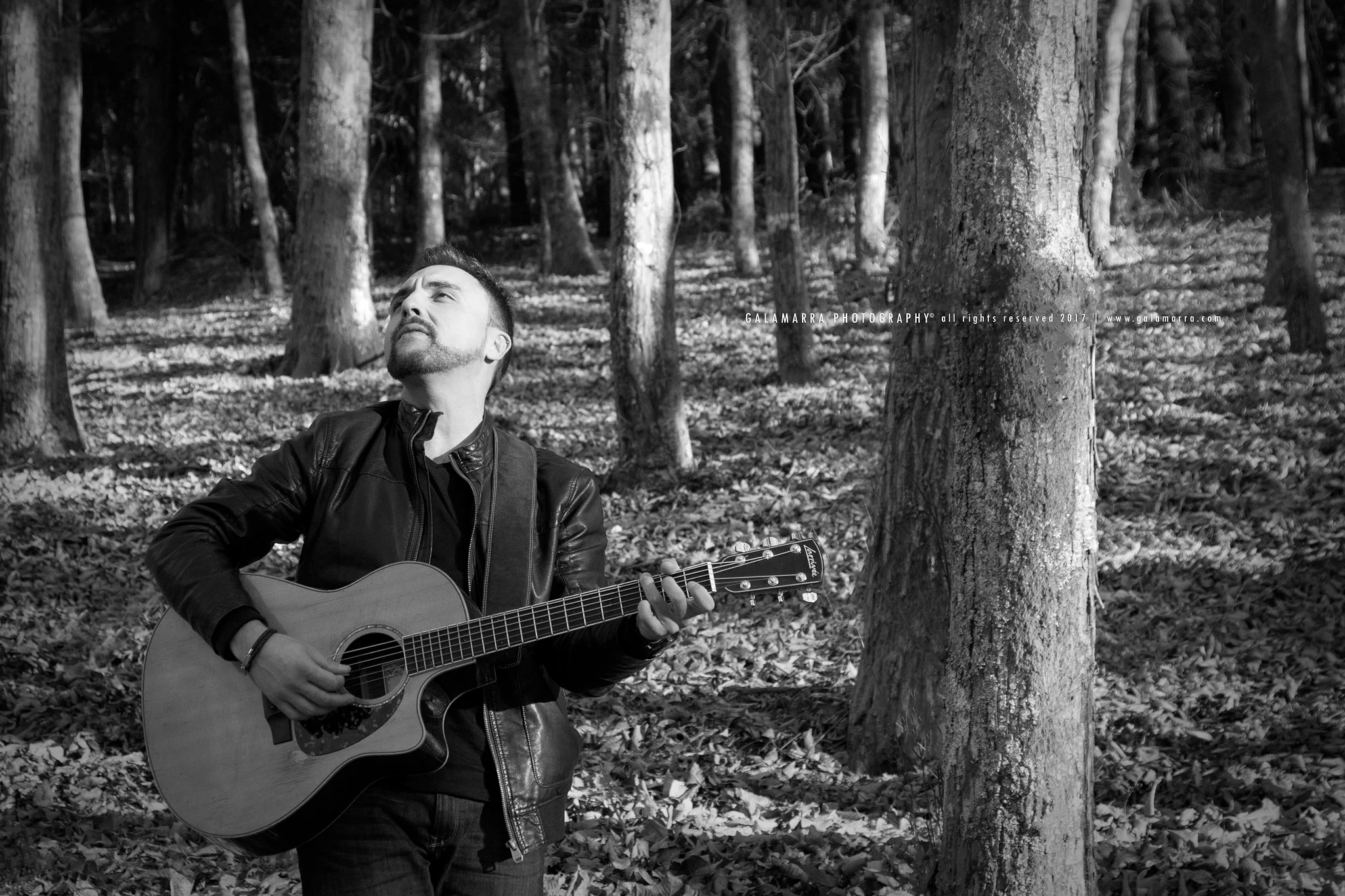 O som tudo cura - XIII