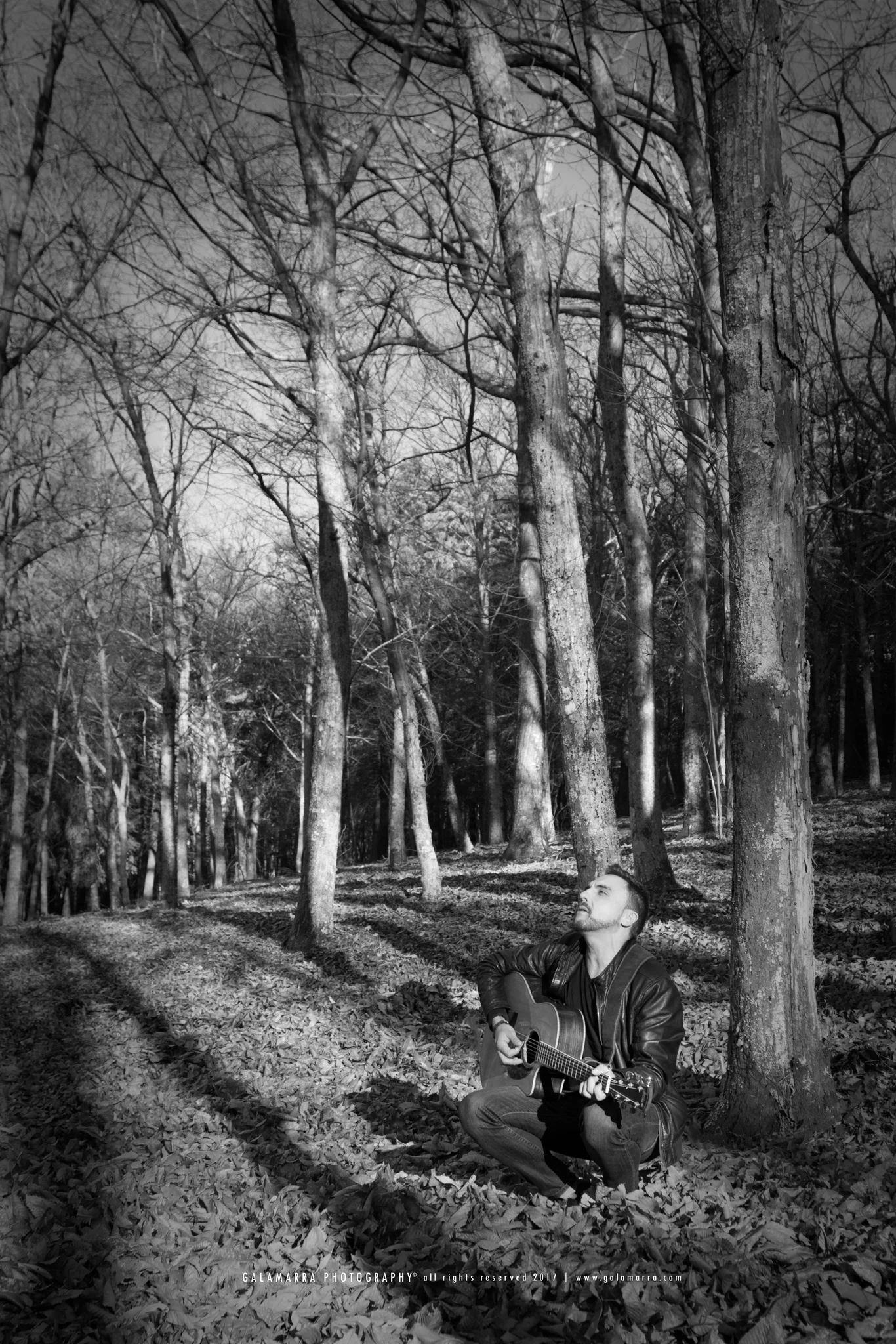 O som tudo cura - XIV