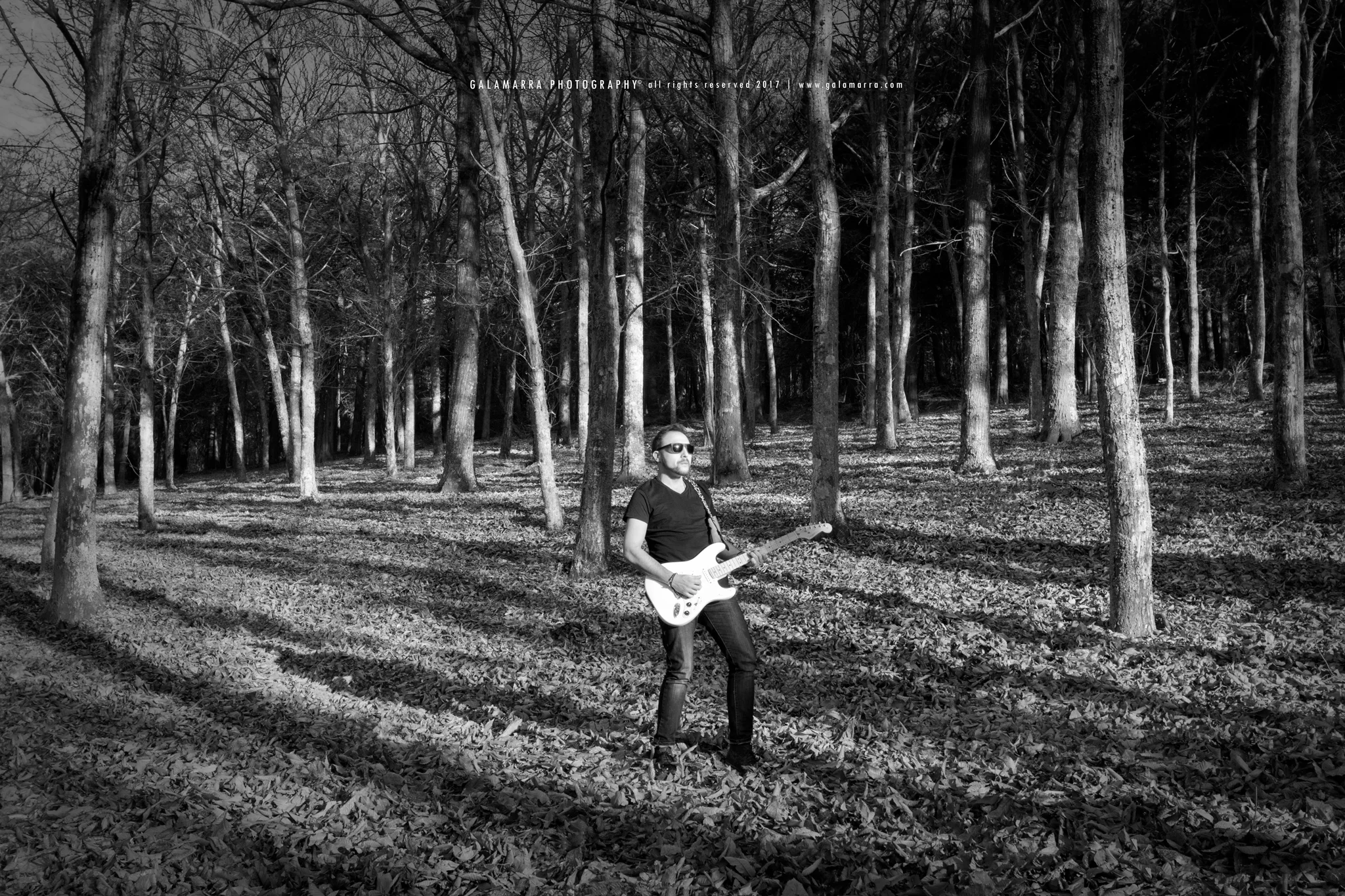 O som tudo cura - XII