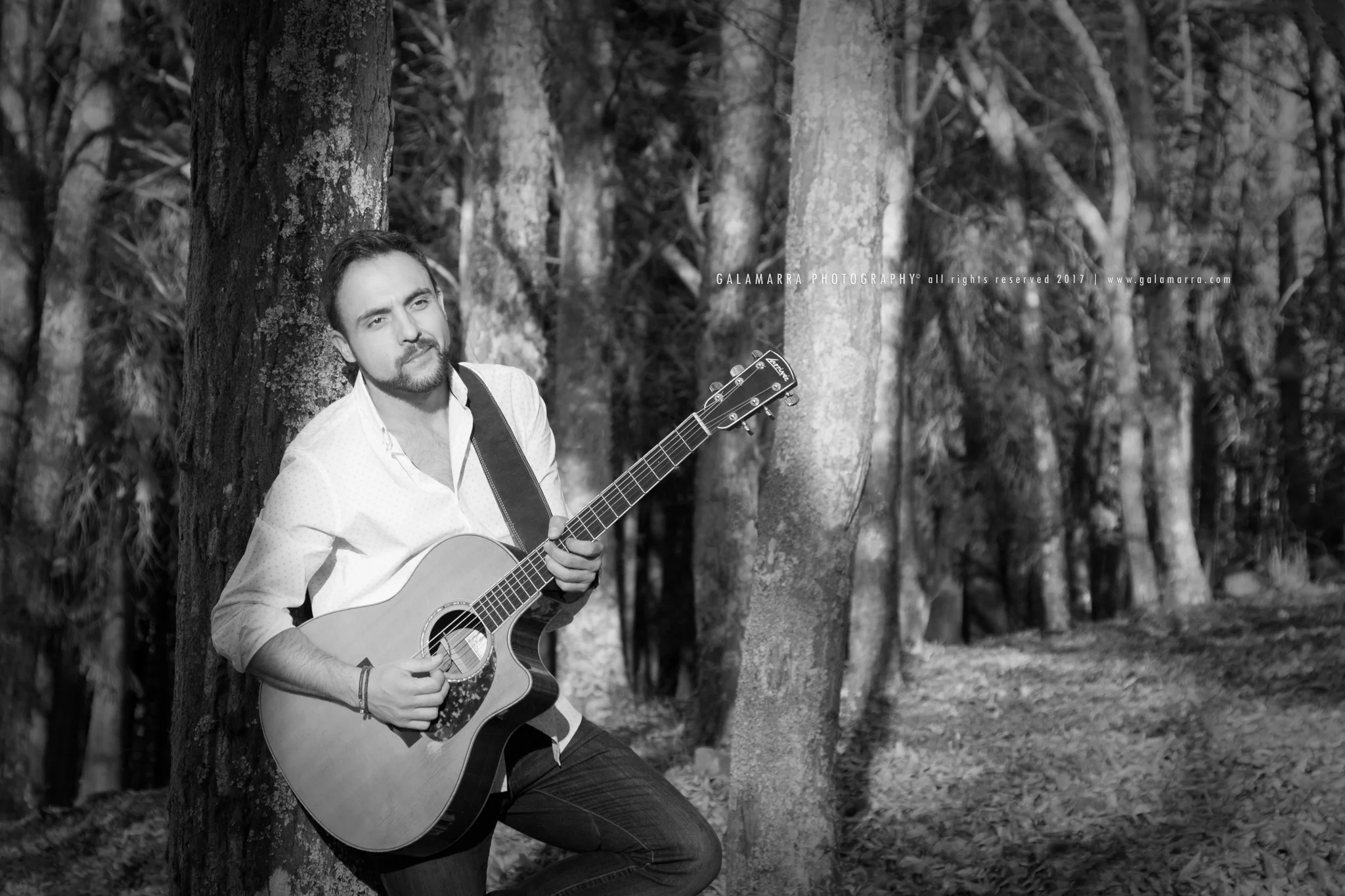 O som tudo cura - III