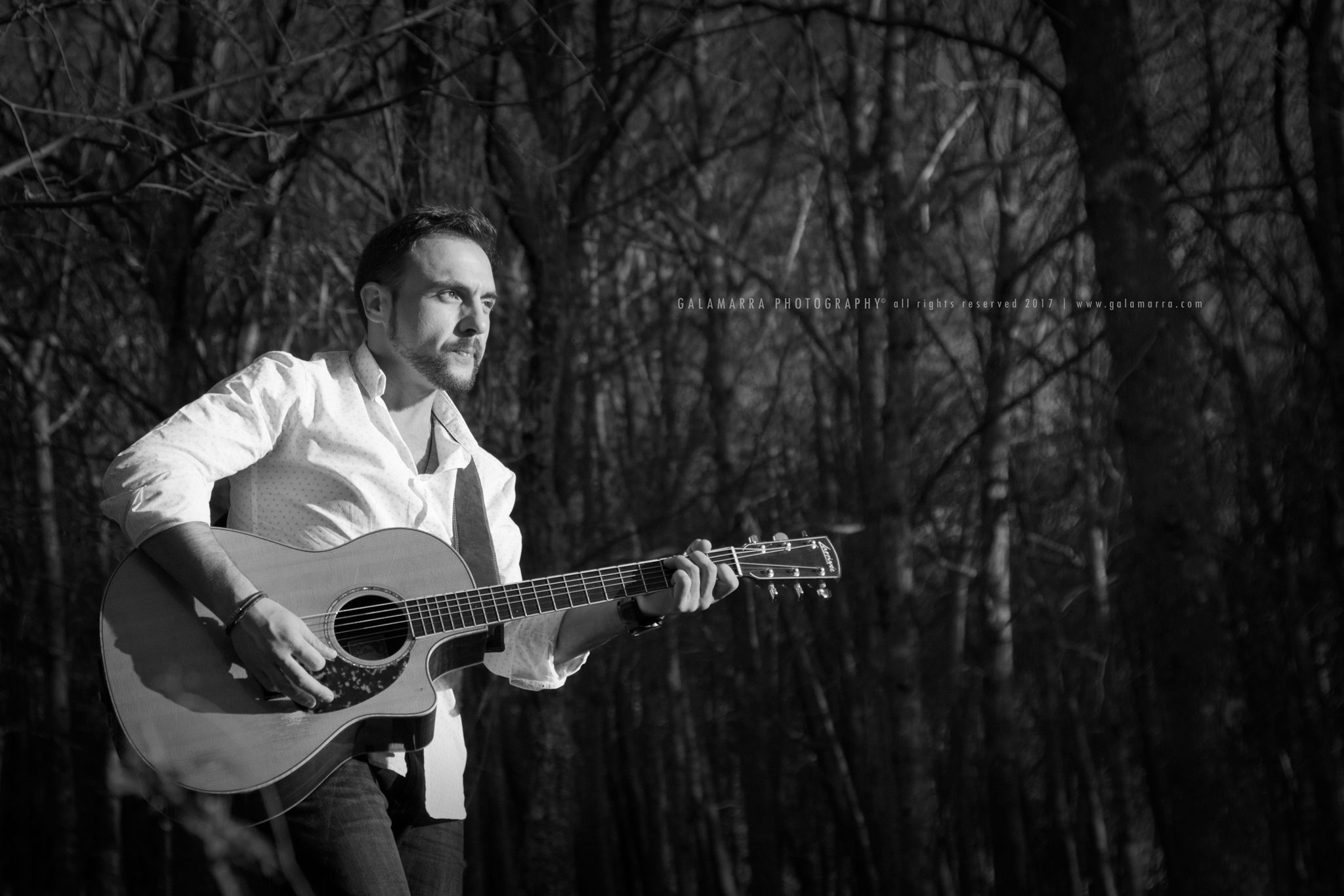 O som tudo cura - II