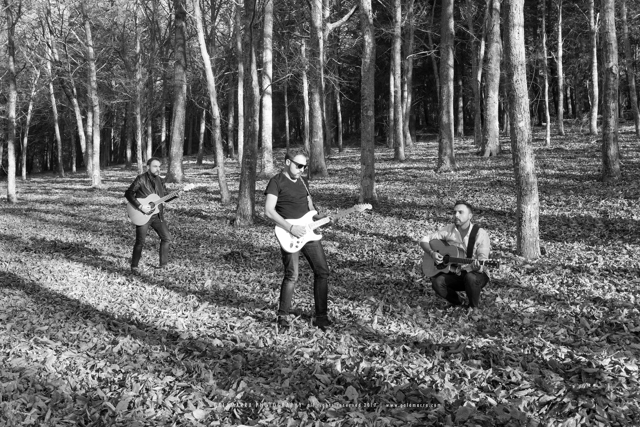 O som tudo cura - VIII - trio