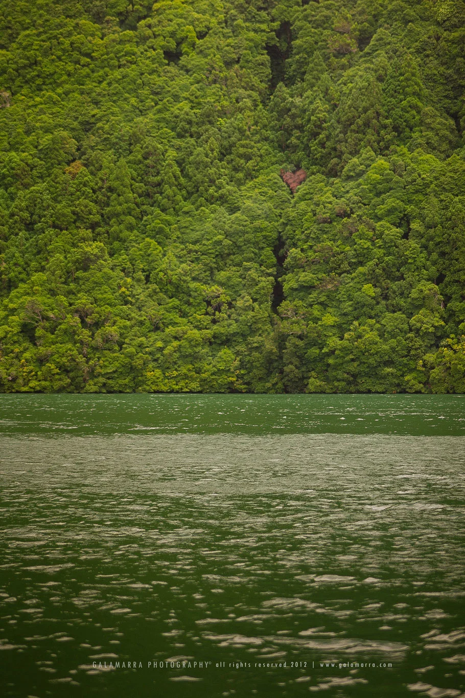 The tear becomes the heart of the princess